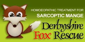 Derbyshire Fox Rescue
