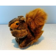 
                Red Squirrel - small...