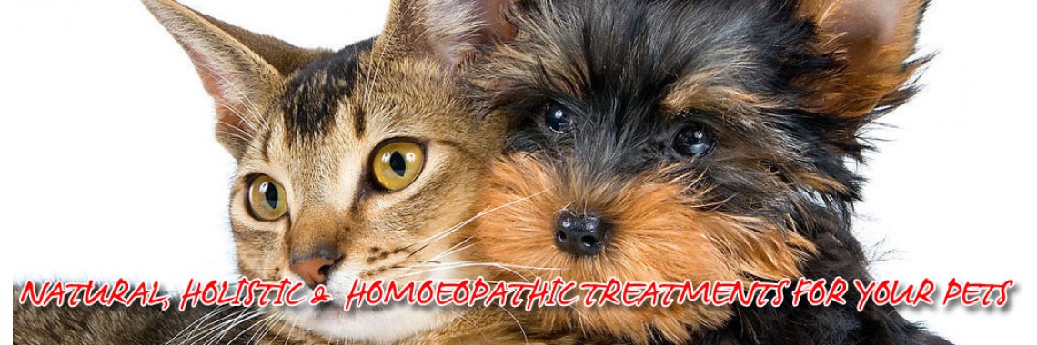 Natural, Holistic & Homeopathic treatments for your pets